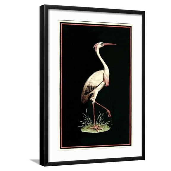 Art.com Crane on Black Background Art Print, Black Frame Wall Art, 21" x 29"