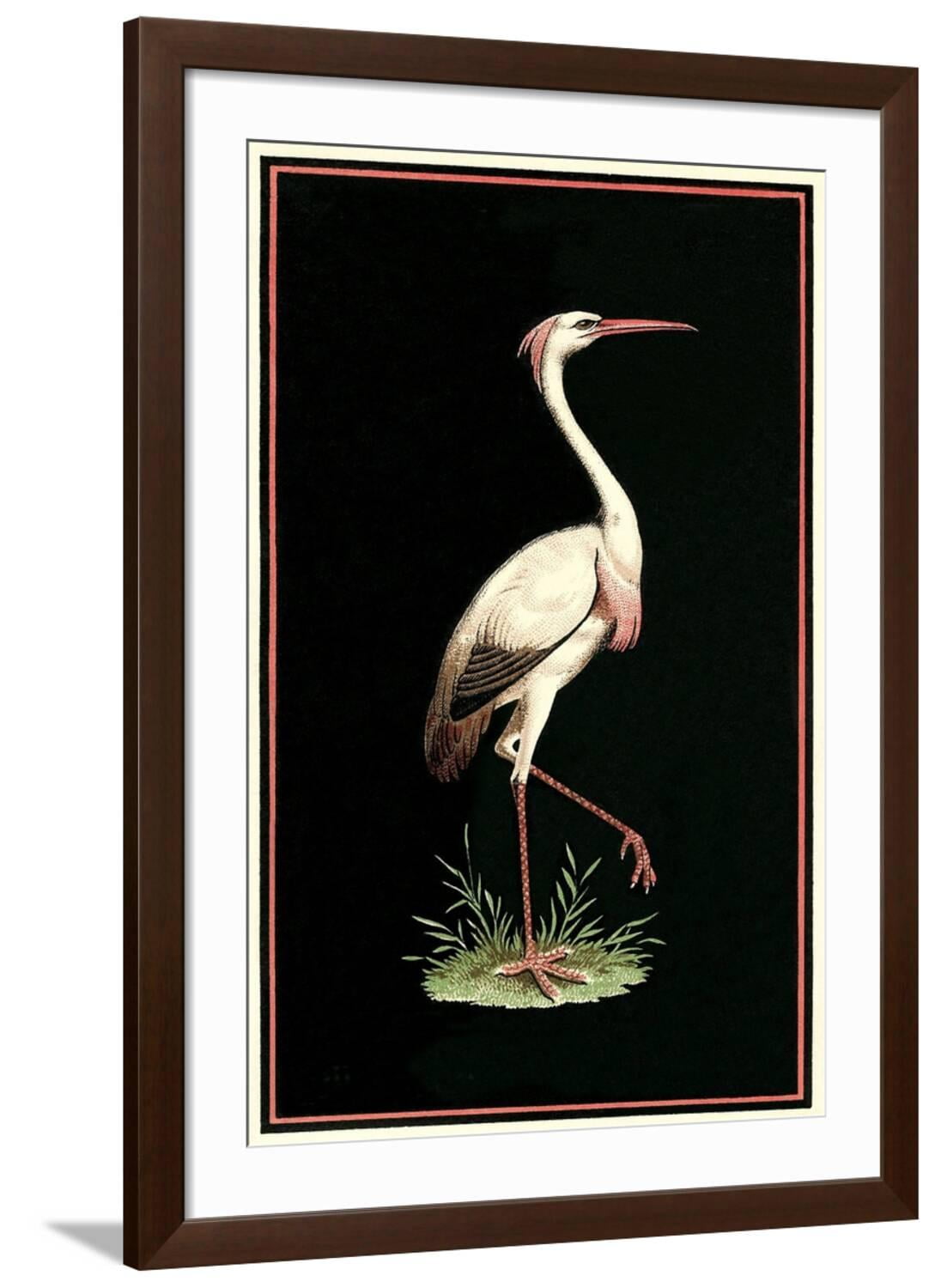 Art.com Crane on Black Background Art Print, Brown Frame Wall Art, 32" x 44"