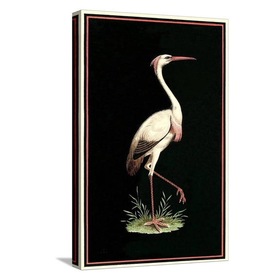 Art.com Crane on Black Background Stretched Canvas Print Wall Art, 12" x 18"