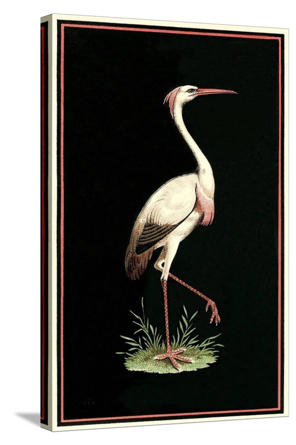 Art.com Crane on Black Background Stretched Canvas Print Wall Art, 16" x 24"