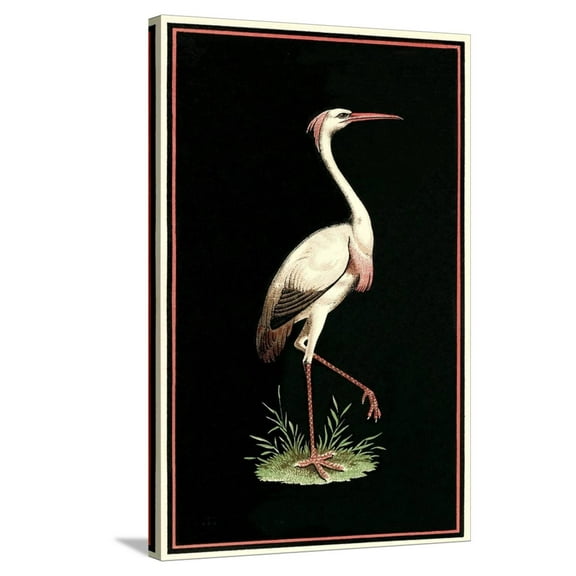 Art.com Crane on Black Background Stretched Canvas Print Wall Art, 24" x 36"