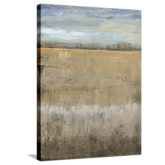 Art.com Crescendo I Stretched Canvas Print Wall Art by Tim OToole, 24" x 32"