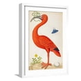 thumbnail image 1 of Art.com Curlew Catesby (or Scarlet Ibis) Art Print by Maria Sibylla Merian, White Frame Wall Art, 17" x 23", 1 of 5
