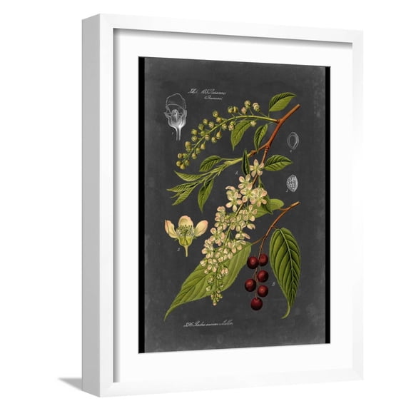 Art.com Custom Midnight Botanical II (R) Art Print by Vision Studio, White Frame Wall Art, 17" x 21"