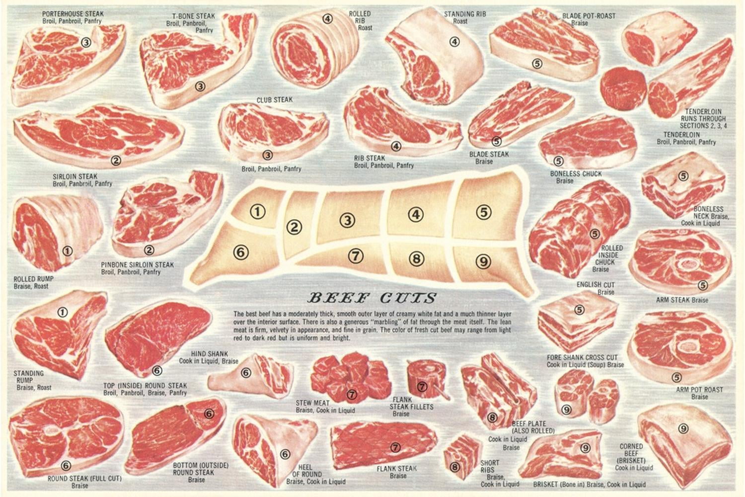 Art.com Cuts of Beef Chart Art Print, 24