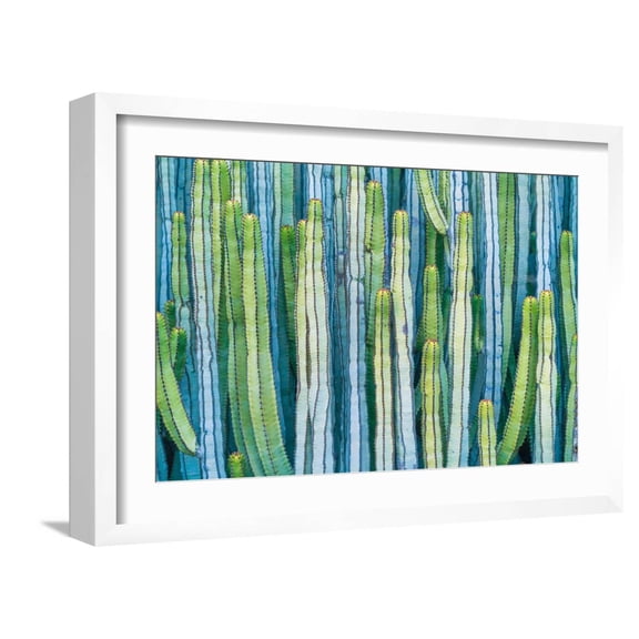 Art.com DETAIL VIEW OF THE CARDON CACTUS IN SUMMER WITH RICH BLUE GREEN AND TORQOUISE COLORS Photographic Print by ED Reardon, White Frame Wall Art, 23" x 17"