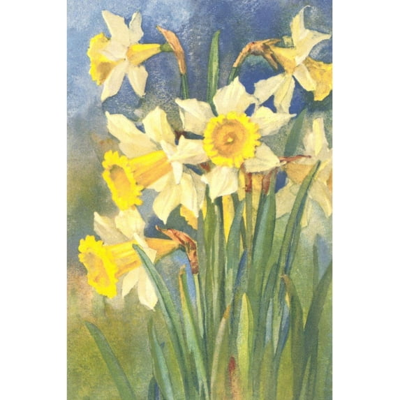 Art.com Daffodils Art Print, 24" x 36"