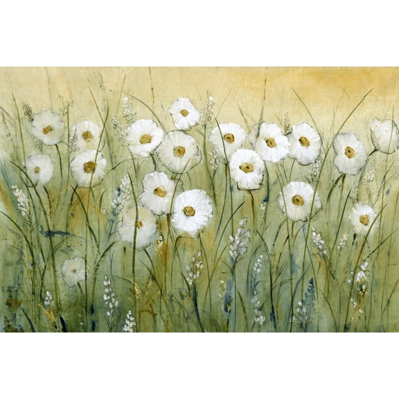 Art.com Daisy Spring I Art Print by Tim O'toole, 18" x 12"