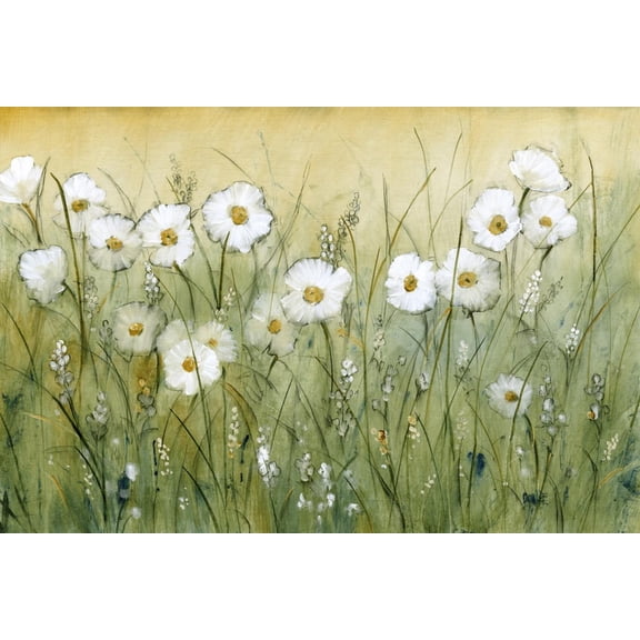 Art.com Daisy Spring II Art Print by Tim OToole, 18" x 12"