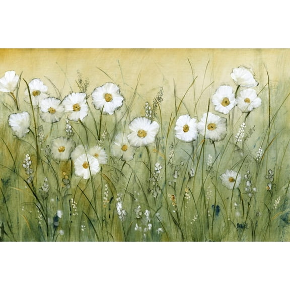 Art.com Daisy Spring II Art Print by Tim OToole, 36" x 24"