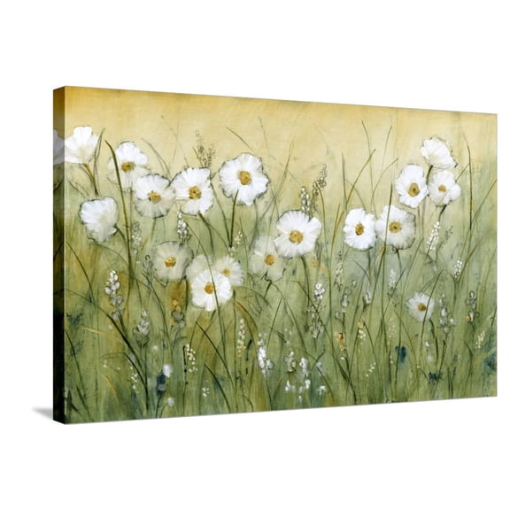 Art.com Daisy Spring II Stretched Canvas Print Wall Art by Tim OToole, 36" x 24"