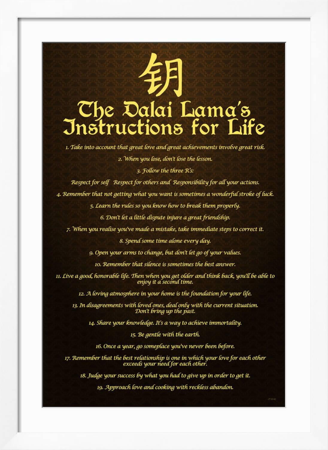 Dalai Lama, Instructions For Life Art Print, White Frame Wall