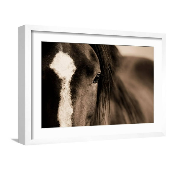 Art.com Dark Eyes Photographic Print by Lisa Dearing, White Frame Wall Art, 23" x 17"