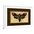 thumbnail image 1 of Art.com Death's Head Moth Art Print by Lantern Press, White Frame Wall Art, 44" x 32", 1 of 5