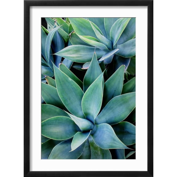 Art.com Deep Dive I Photo by Elizabeth Urquhart, Black Frame Wall Art, 17" x 23"