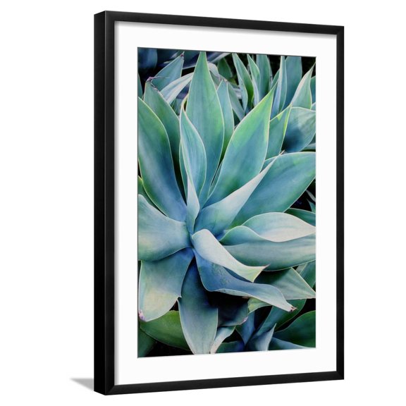 Art.com Deep Dive II Photo by Elizabeth Urquhart, Black Frame Wall Art, 21" x 29"