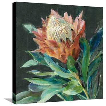 Art.com Deep Protea Crop Stretched Canvas Print Wall Art by Danhui Nai, 24" x 24"