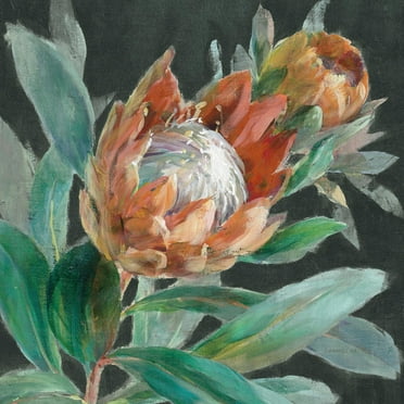 Art.com Deep Tropical Protea Crop Art Print by Danhui Nai, 16" x 16"