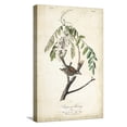 thumbnail image 1 of Art.com Delicate Bird and Botanical I Stretched Canvas Print Wall Art by John James Audubon, 12" x 18", 1 of 4