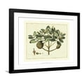 thumbnail image 1 of Art.com Delicate Botanical IV Art Print by Samuel Curtis, Black Frame Wall Art, 40" x 32", 1 of 5