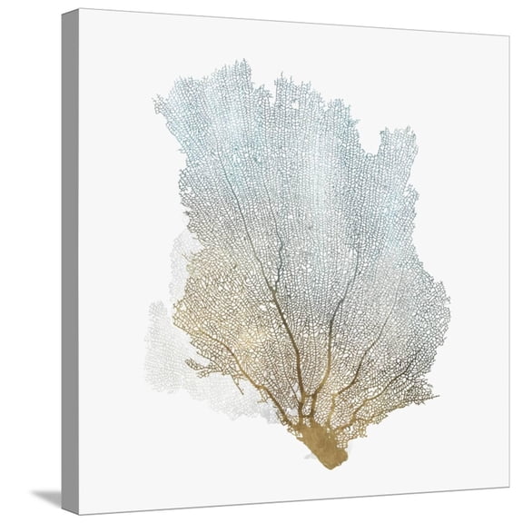 Art.com Delicate Coral I Stretched Canvas Print Wall Art by Isabelle Z, 24" x 24"