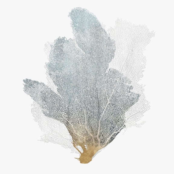 Art.com Delicate Coral II Art Print by Isabelle Z, 16" x 16"