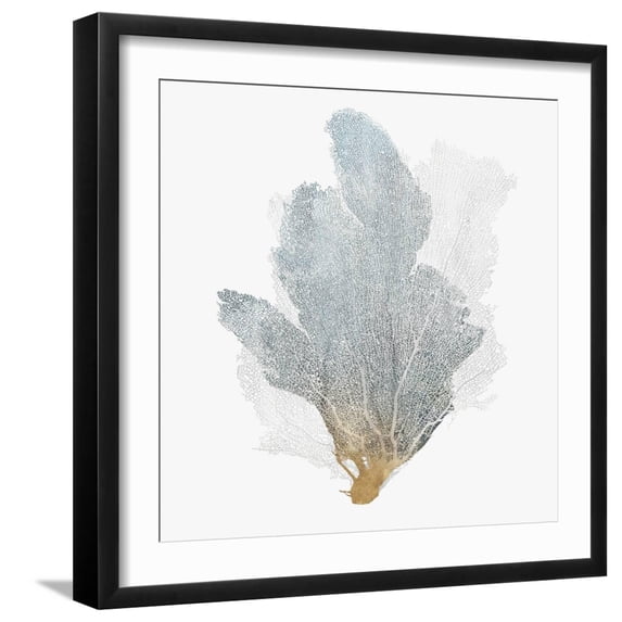 Art.com Delicate Coral II Art Print by Isabelle Z, Black Frame Wall Art, 21" x 21"