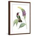 thumbnail image 1 of Art.com Delicate Hummingbird IV Art Print by Vision Studio, Brown Frame Wall Art, 21" x 29", 1 of 5