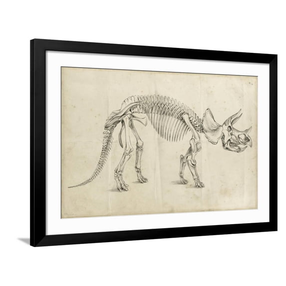 Art.com Dinosaur Study II Art Print by Ethan Harper, Black Frame Wall Art, 44" x 32"