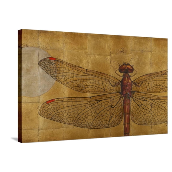 Art.com Dragonfly on Gold Stretched Canvas Print Wall Art by Patricia Pinto, 36" x 24"
