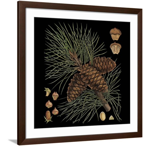 Art.com Dramatic Conifers V Art Print by Vision Studio, Brown Frame Wall Art, 38" x 38"