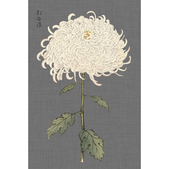 Art.com Dramatic Ivory Mums II Art Print by Vision Studio, 16" x 24"