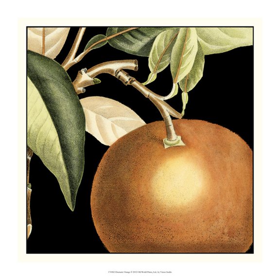 Art.com Dramatic Orange Art Print by Vision Studio, 24" x 24"