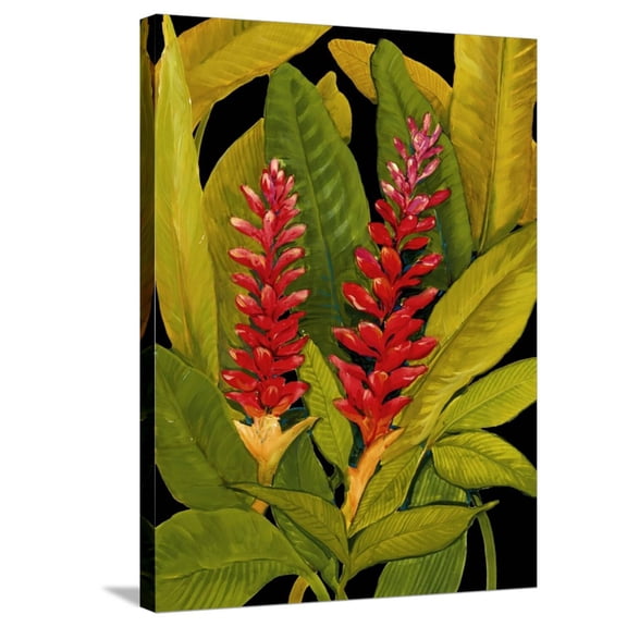 Art.com Dramatic Red Ginger Stretched Canvas Print Wall Art by Tim O'toole, 24" x 32"