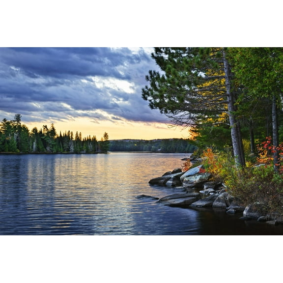 Art.com Dramatic Sunset and Pines at Lake of Two Rivers in Algonquin Park, Ontario, Canada Photographic Print by elenathewise, 36" x 24"