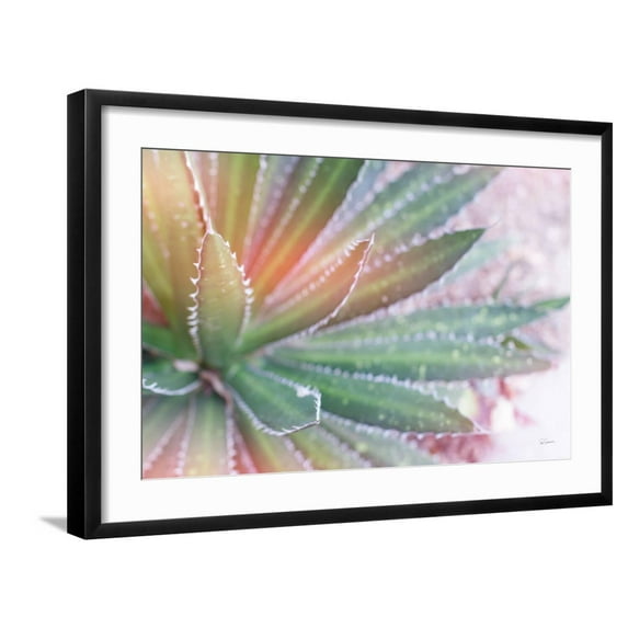 Art.com Dream Desert I Art Print by Sue Schlabach, Black Frame Wall Art, 29" x 21"