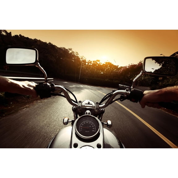 Art.com Driver Riding Motorcycle On An Asphalt Road Through Forest Art Print by Dudarev Mikhail, 24" x 16"