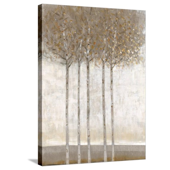 Art.com Early Fall II Stretched Canvas Print Wall Art by Tim O'toole, 24" x 32"