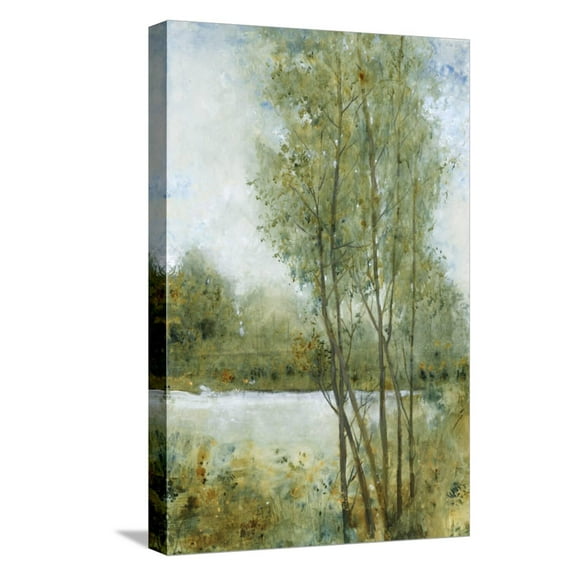 Art.com Early Spring I Stretched Canvas Print Wall Art, 12" x 18"