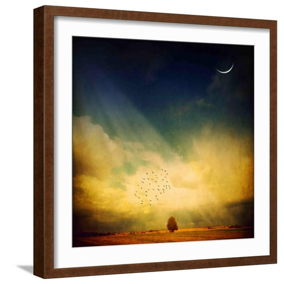 Art.com Echo of a Sigh Photographic Print by Philippe Sainte-Laudy, Brown Frame Wall Art, 21" x 21"