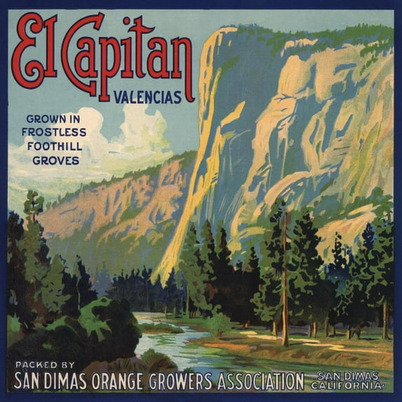 Art.com El Capitan Brand - San Dimas, California - Citrus Crate Label Art Print by Lantern Press, 16" x 16"