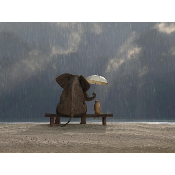Art.com Elephant And Dog Sit Under The Rain Photographic Print by Mike_Kiev, 32" x 24"