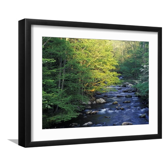 Art.com Elkmount Area, Great Smoky Mountains National Park, Tennessee, USA Photographic Print by Darrell Gulin, Black Frame Wall Art, 21" x 17"