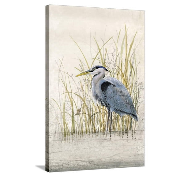 Art.com Embellished Heron Sanctuary II (BA) Stretched Canvas Print Wall Art by Tim OToole, 24" x 36"