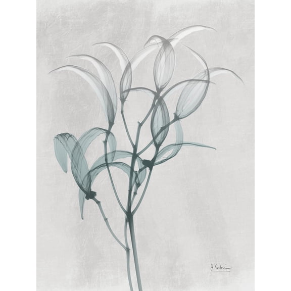 Art.com Emerald Oleander Bush Photo by Albert Koetsier, 12" x 16"