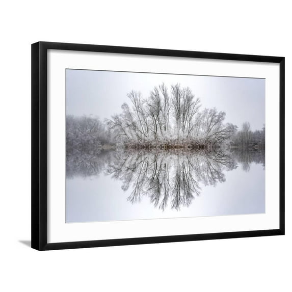 Art.com Equanimity Photographic Print by Philippe Sainte-Laudy, Black Frame Wall Art, 29" x 21"