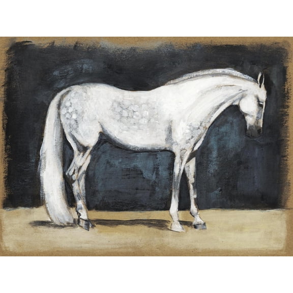 Art.com Equestrian Studies V Art Print by Naomi McCavitt, 16" x 12"