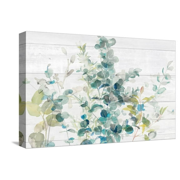 Art.com Eucalyptus I on Shiplap Crop Stretched Canvas Print Wall Art by Danhui Nai, 18" x 12"