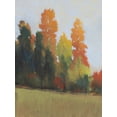 thumbnail image 1 of Art.com Fall Colors II Art Print by Tim OToole, 24" x 32", 1 of 3