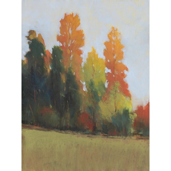 Art.com Fall Colors II Art Print by Tim OToole, 24" x 32"
